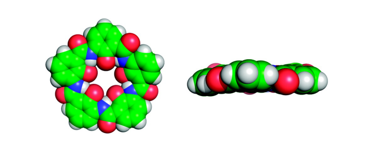 Qin, B.; Chen, X. Y.; Fang, X.; Shu, Y. Y.; Yip, Y. K.; Yan, Y.; Pan, S. Y.; Ong, W. Q.; Ren, C. L.; Su, H. B.; Zeng, H. Q.*